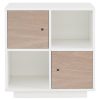 Storage Bookcase With 2 Doors-449