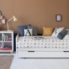 The EDIT Bed with Storage+Sleepover Trundle-0